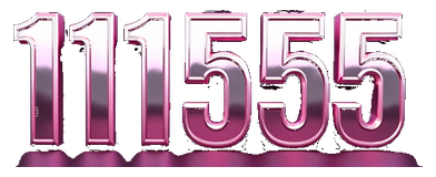 111555 logo